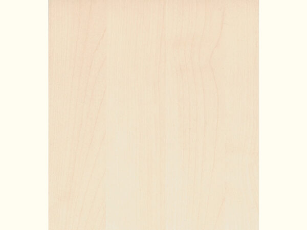 Möbelbauplatte Albasia Weißahorn